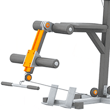 腿部彎曲和伸展