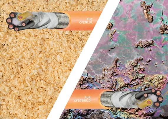 CF 電線電纜線上研討會