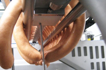 魚肉和香腸加工